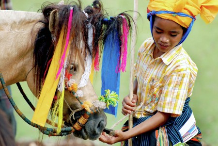 Horse of Pasola