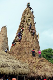 Roof up