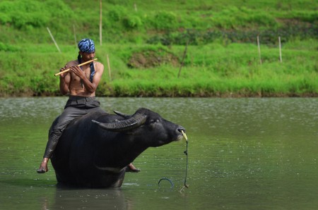 Me and My Best Friend