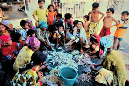 Weeding Fish