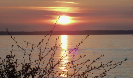 Bellingham Bay