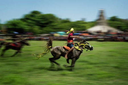 Pasola Rider