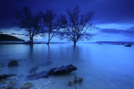 The Blues
