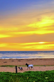 kuala muda sunset
