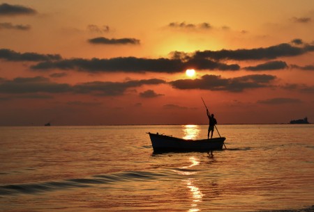 wark at sunrise