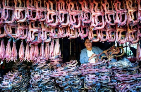 Dried Fishes