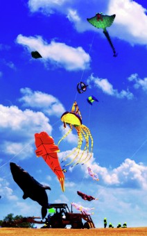 giant kite