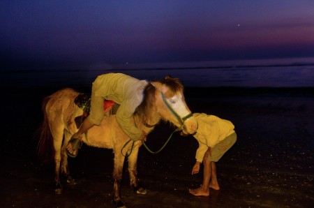 Horses