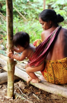 Orang Rimba Tribe