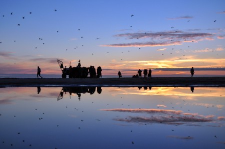 Silhouettes of the Sea