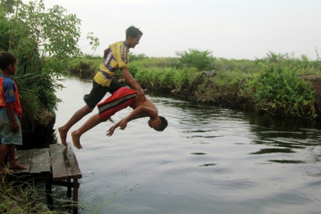 Kolam Renang Lahan Gambut