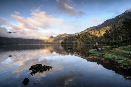 Nature Mirror