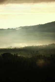 Morning sine