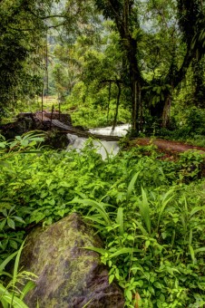 sungai kecil di tengah hutan