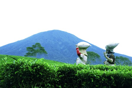 activity people highlands