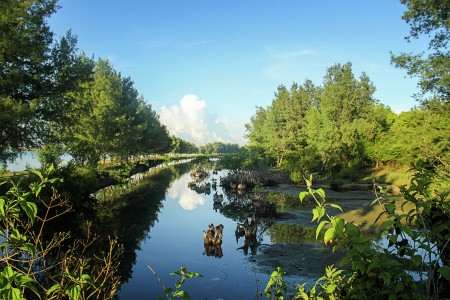 The other side of Sanur