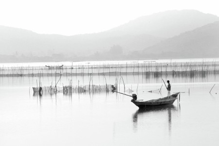 Morning at Chilka
