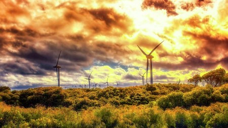 Wind Farm
