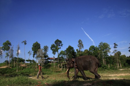 Pulang ke rumah
