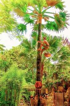 Berjuang