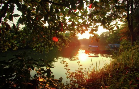 Morning Sun Light