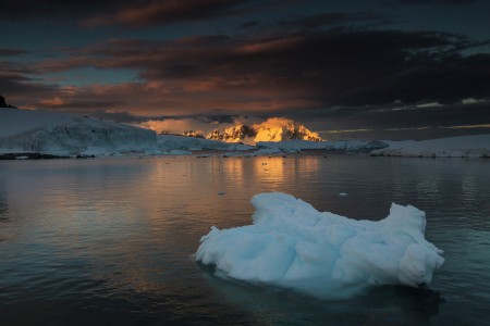 Goodbye Mr. Iceberg