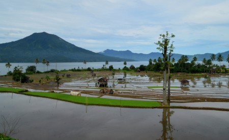 A Cloudy Morning in Ranau