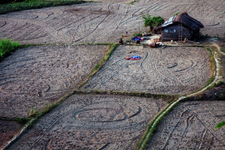 village life