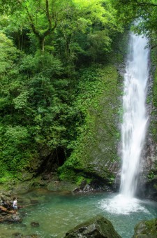 A Falls View