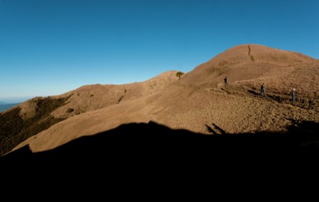 at the Top