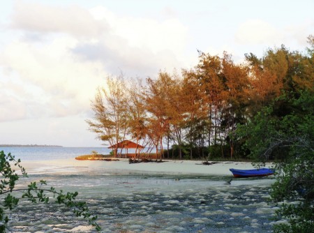 Autumn In Wakatobi