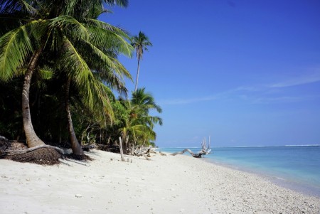 Hidden Paradise