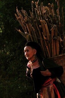 TRONG Náº®NG CHIá»€U