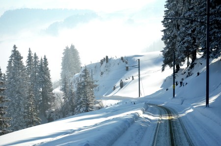 White in Rigi Kulm