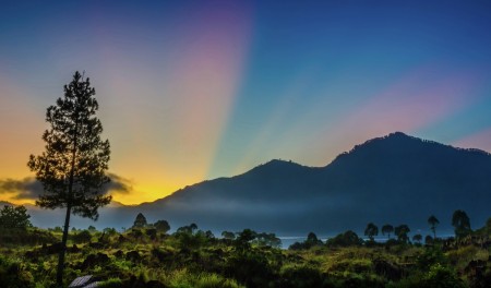 Selamat Pagi Kintamani