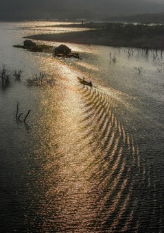 LIGHT AND WATER WAVES