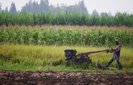 Bajak Sawah