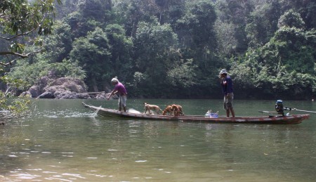melihat jaring sebelum berburu
