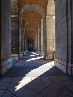curvy pattern perspective