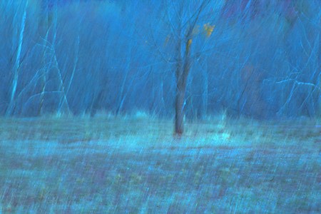Winterscape