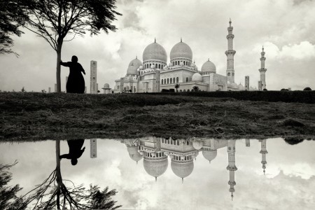 A Majestic Reflection