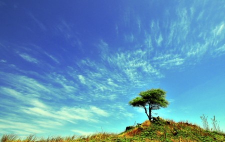 Bukit cinta