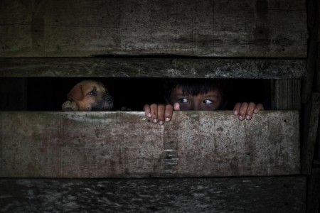 Si Alex Pengen Ikutan