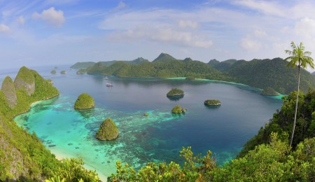Wayag View