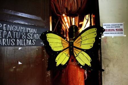 THE BUTTERFLY
