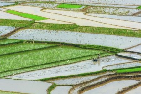 Indah Sawah Ladang