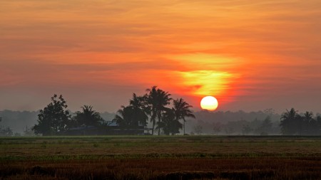 My Kampung Sunrise