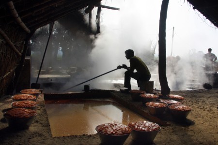 Gur (Jaggery) Making