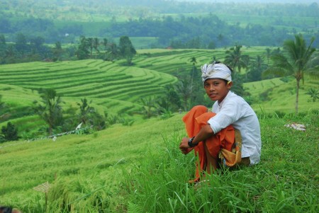 Bali Boy