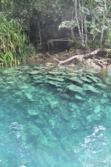 Hidden Paradise